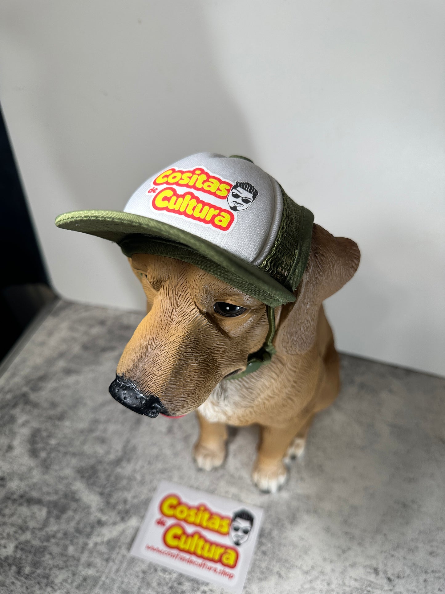 Dog Hats